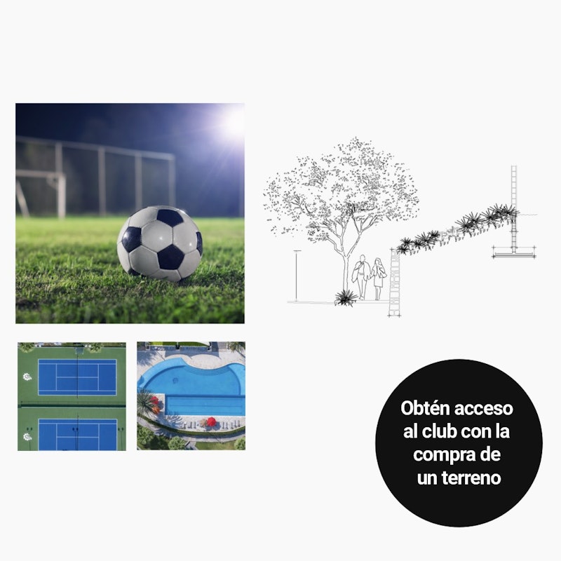 Mosaico descriptivo del club deportivo carolco